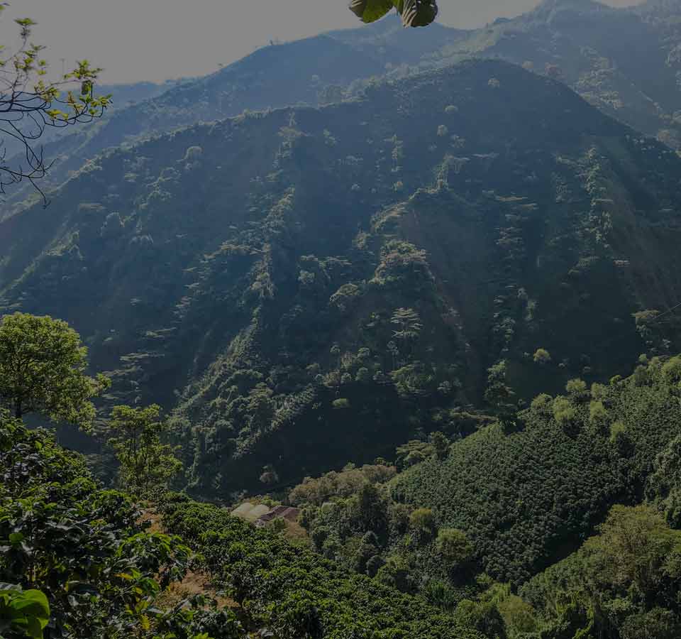La Colombie, deuxième pays le plus riche en biodiversité de la planète