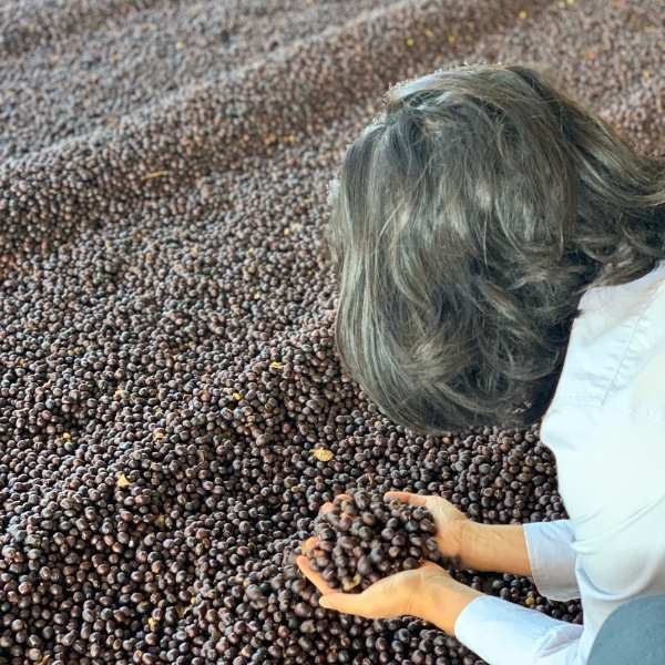 Café en grains ou moulu Brésil Anaérobie| Naná Naná 1kg