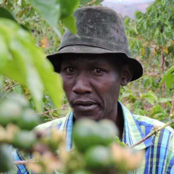 Café en grains ou moulu Rwanda | Cyendajuru Naturel 250g