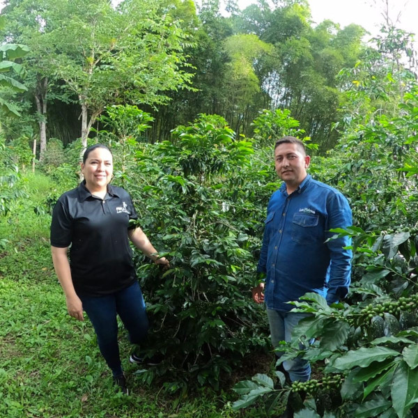 Café en grains ou moulu Colombie | La Escarlata 1kg