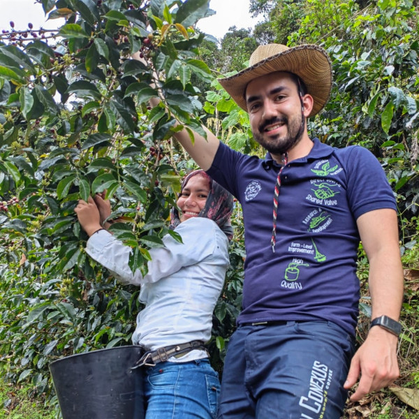 Café en grain ou moulu | Gesha Maranatha 250g