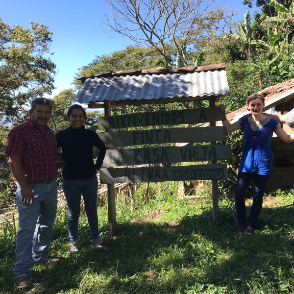 Café BIO en grains ou moulu Honduras | Ceiba 250g