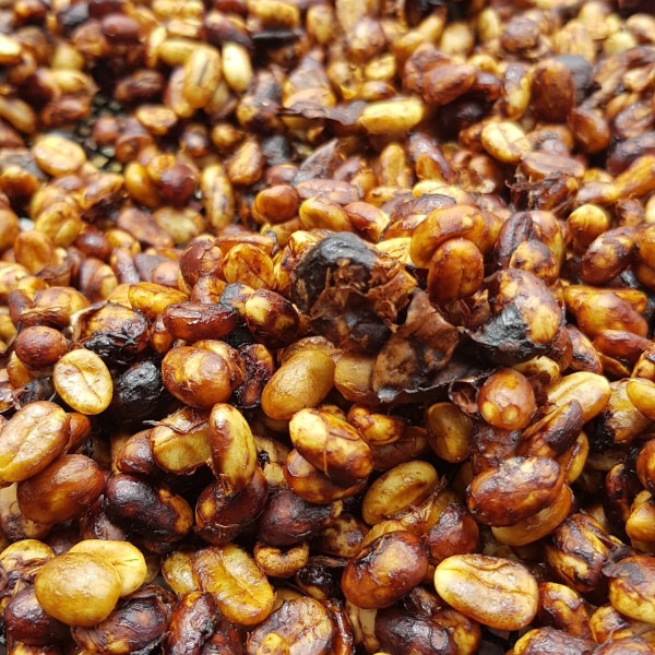 Café en grains ou moulu Costa Rica | La Bandera 250g Café en grains ou moulu Costa Rica | La Bandera 250g