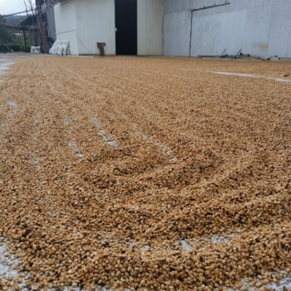 Café en grains ou moulu Costa Rica | Cordillera Del Fuego 1kg Café en grains ou moulu Costa Rica | Cordillera Del Fuego 1kg