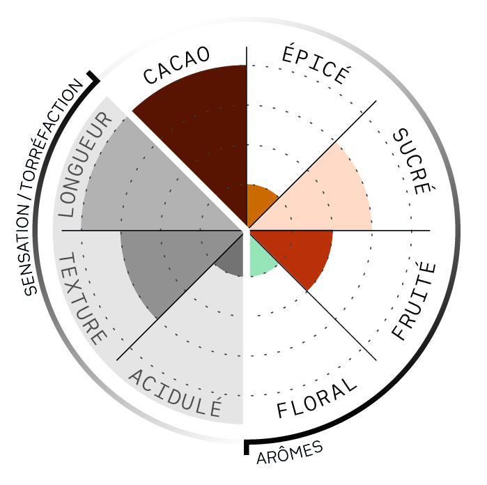 Café en grains ou moulu Guatemala | Bendición 1kg